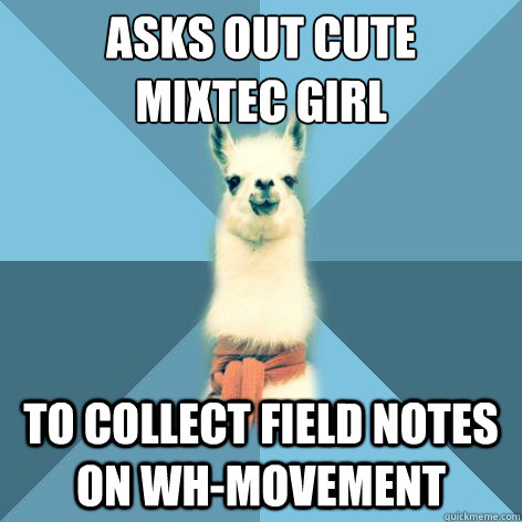 ASKS OUT CUTE
MIXTEC GIRL TO COLLECT FIELD NOTES ON WH-MOVEMENT  Linguist Llama