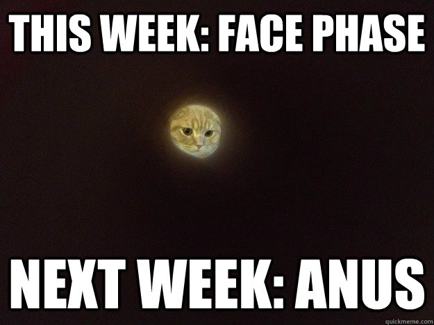 This week: Face Phase Next week: Anus  