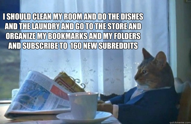 I should clean my room and do the dishes and the laundry and go to the store and organize my bookmarks and my folders and subscribe to  160 new subreddits  Sophisticated Cat