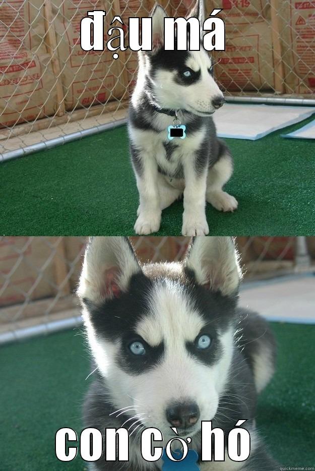 ĐẬU MÁ CON CỜ HÓ Insanity puppy