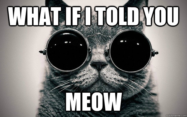 what if I told you Meow - what if I told you Meow  Morpheus Cat Facts