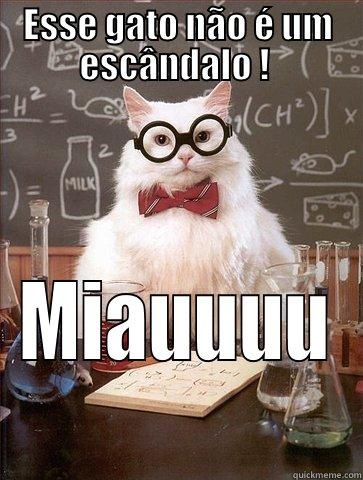 ESSE GATO NÃO É UM ESCÂNDALO !  MIAUUUU Chemistry Cat