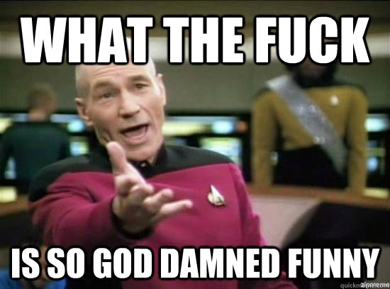 what the fuck is so god damned funny  Annoyed Picard HD