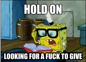 Hold on
 Looking for a fuck to give  