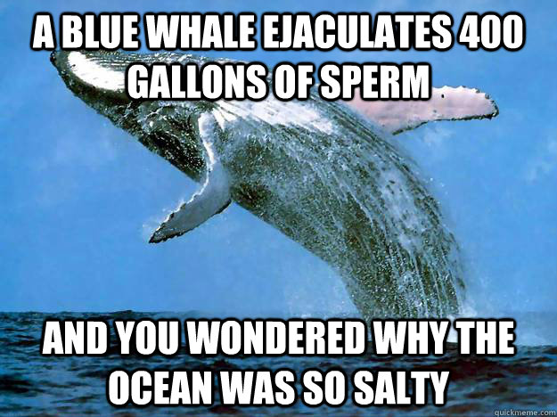 A Blue Whale ejaculates 400 gallons of sperm And you wondered why the ocean...