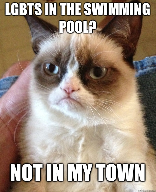 LGBTs in the swimming pool? 
Not in my town  Grumpy Cat