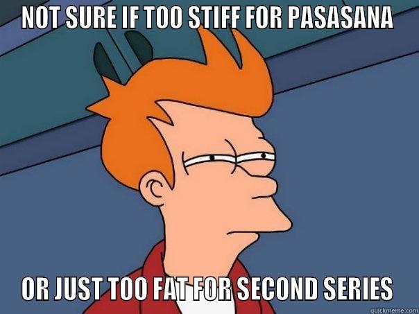NOT SURE IF TOO STIFF FOR PASASANA OR JUST TOO FAT FOR SECOND SERIES Futurama Fry