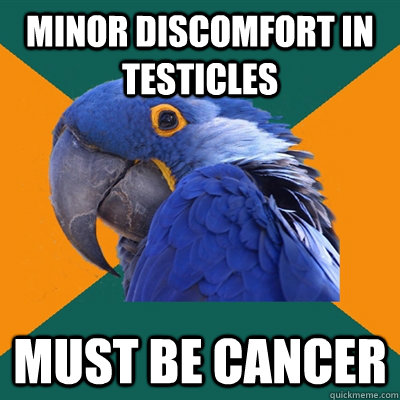 minor discomfort in testicles must be cancer  Paranoid Parrot