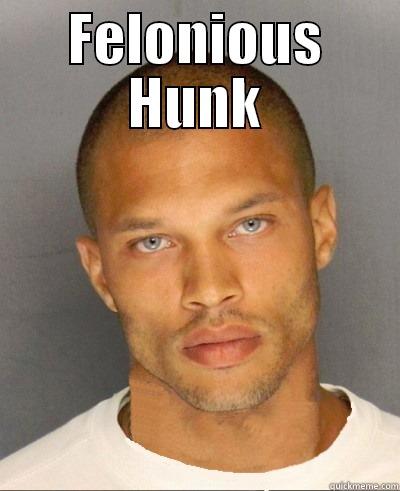 FELONIOUS HUNK  Misc