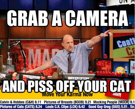 Grab a camera and piss off your cat  Mad Karma with Jim Cramer