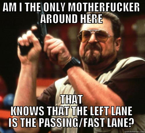 AM I THE ONLY MOTHERFUCKER AROUND HERE THAT KNOWS THAT THE LEFT LANE IS THE PASSING/FAST LANE? Am I The Only One Around Here