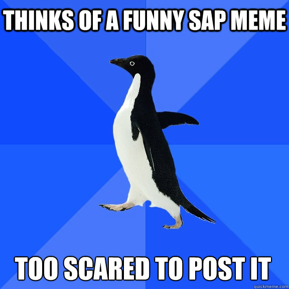 thinks of a funny sap meme too scared to post it  Socially Awkward Penguin