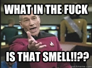 What in the fuck is that smell!!??  Annoyed Picard