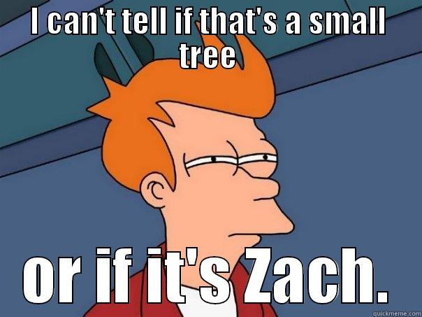 I CAN'T TELL IF THAT'S A SMALL TREE OR IF IT'S ZACH. Futurama Fry