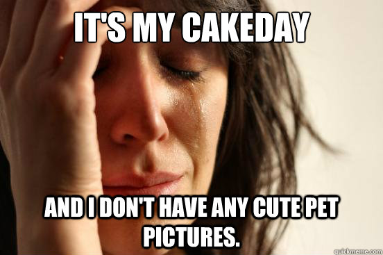 It's my cakeday and I don't have any cute pet pictures.  First World Problems