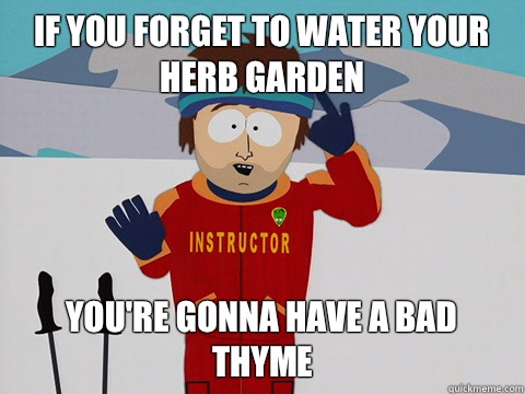 if you forget to water your herb garden You're gonna have a bad thyme   South Park Bad Time