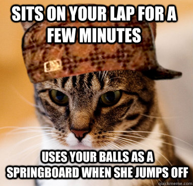 Sits on your lap for a few minutes Uses your balls as a springboard when she jumps off  Scumbag Cat