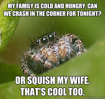 My family is cold and hungry, can we crash in the corner for tonight? Or squish my wife. That's cool too.  Misunderstood Spider