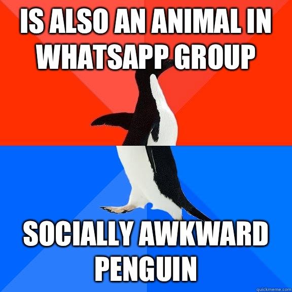 Is also an Animal in whatsapp group Socially awkward penguin  Socially Awesome Awkward Penguin