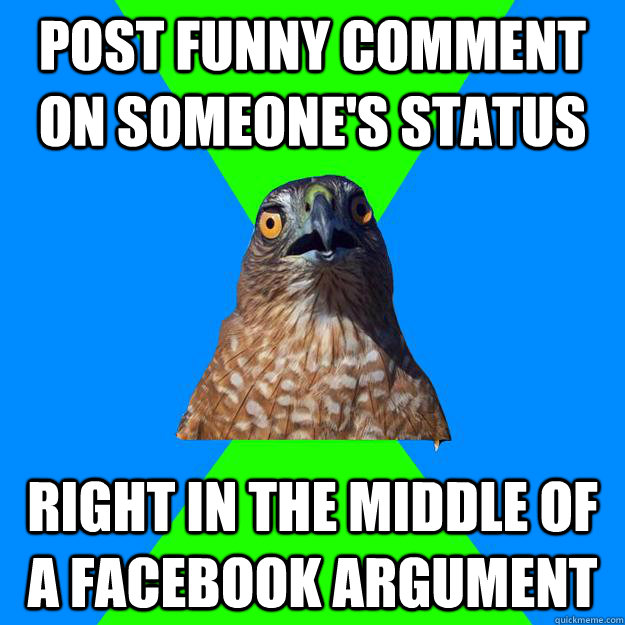 Post funny comment on someone's status  right in the middle of a facebook argument  Hawkward
