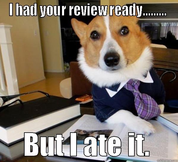 I HAD YOUR REVIEW READY......... BUT I ATE IT. Lawyer Dog