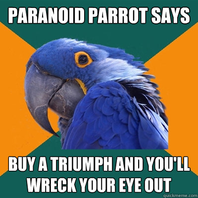 Paranoid parrot says buy a triumph and you'll wreck your eye out  Paranoid Parrot