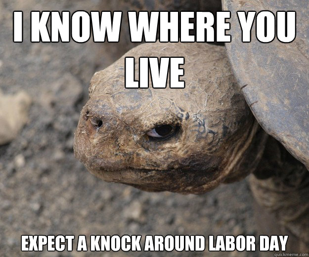 I know where you live Expect a knock around Labor Day  Insanity Tortoise