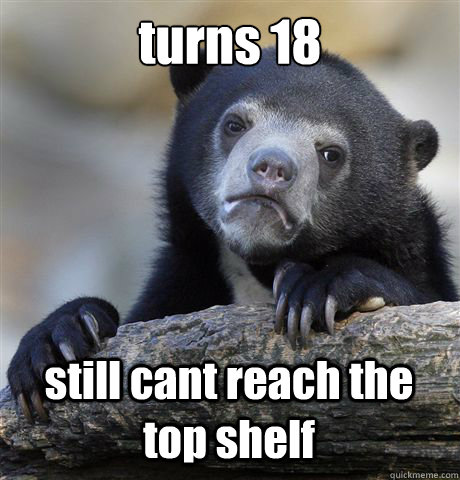 turns 18 still cant reach the top shelf  Confession Bear