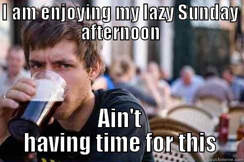 I AM ENJOYING MY LAZY SUNDAY AFTERNOON AIN'T HAVING TIME FOR THIS Lazy College Senior