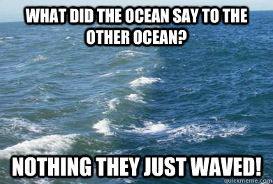 what did the ocean say to the other ocean? nothing they just waved! - what did the ocean say to the other ocean? nothing they just waved!  OCEANS