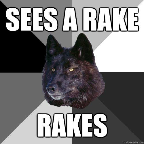 Sees a rake Rakes - Sees a rake Rakes  Sanity Wolf