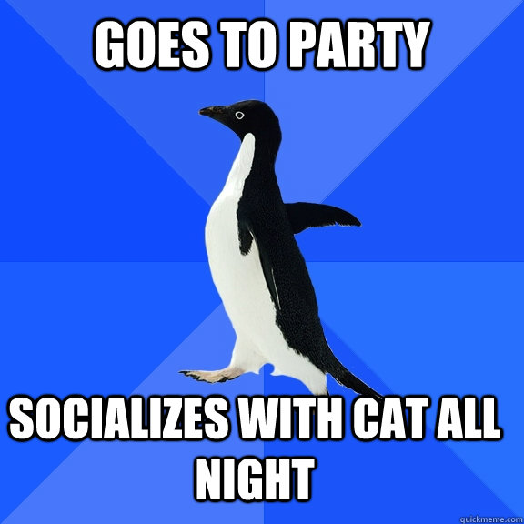 goes to party socializes with cat all night  Socially Awkward Penguin