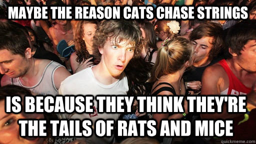 Maybe the reason cats chase strings is because they think they're the tails of rats and mice  Sudden Clarity Clarence