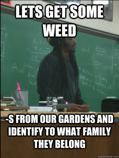 Lets get some weed -s From our gardens and identify to what family they belong  Rasta Science Teacher