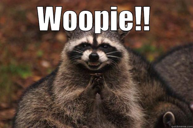 WOOPIE!!  Evil Plotting Raccoon