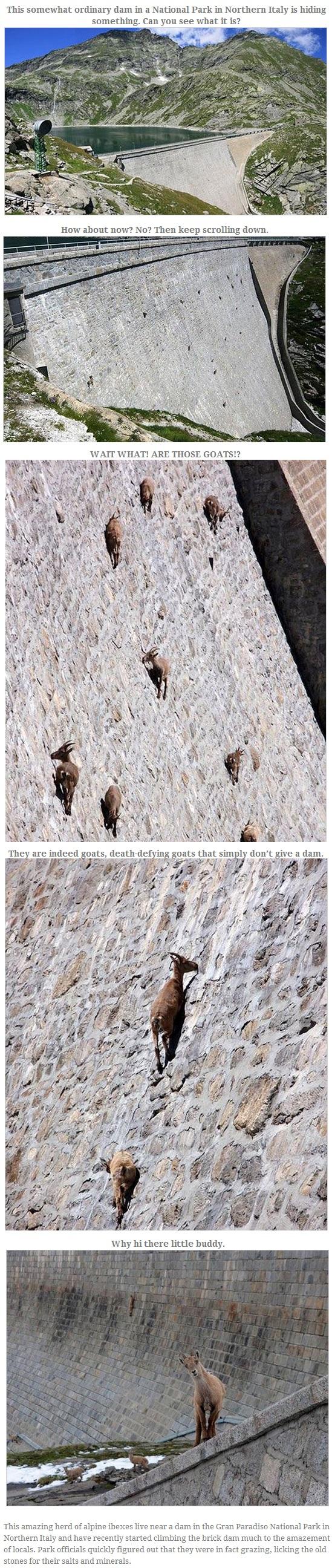 This is the craziest thing I've seen in a while. Look a little closer, and you'll see it plain as day... -   Misc