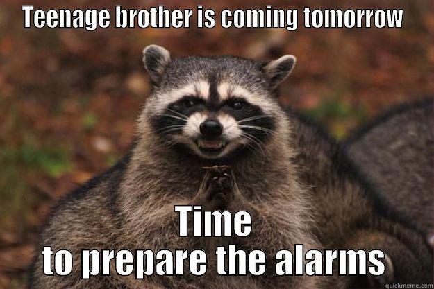 TEENAGE BROTHER IS COMING TOMORROW  TIME TO PREPARE THE ALARMS Evil Plotting Raccoon