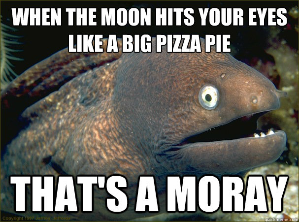 When the moon hits your eyes
Like a big pizza pie That's a Moray  Bad Joke Eel
