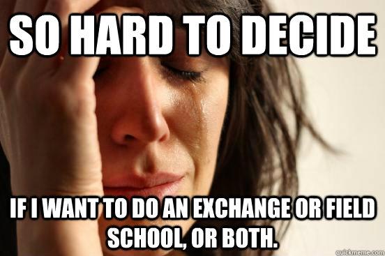 so hard to decide  if i want to do an exchange or field school, or both.   First World Problems