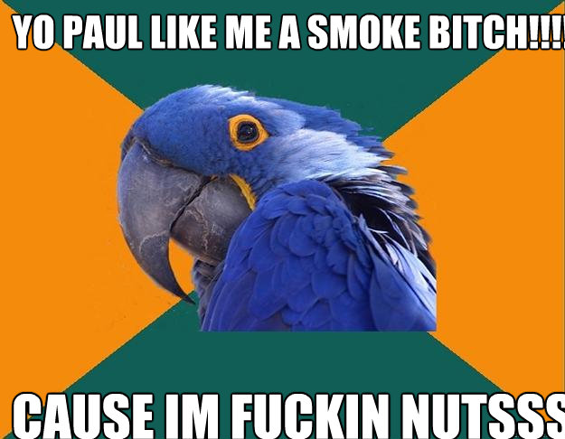YO PAUL LIKE ME A SMOKE BITCH!!!! CAUSE IM FUCKIN NUTSSS  Paranoid Parrot