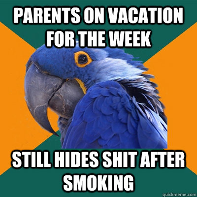 Parents on vacation for the week Still hides shit after smoking  Paranoid Parrot