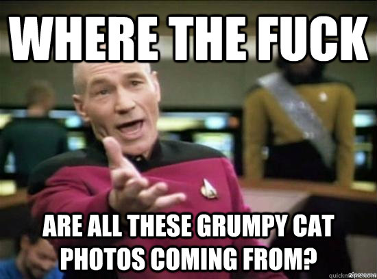 Where the fuck are all these Grumpy cat photos coming from?  Annoyed Picard HD