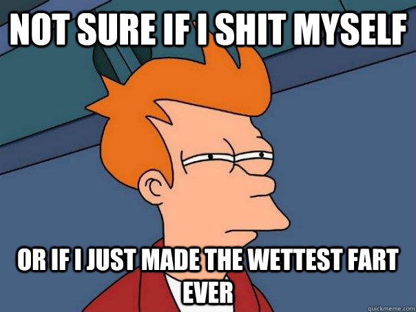 not sure if i shit myself or if i just made the wettest fart ever  Futurama Fry