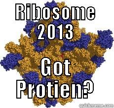 RIBOSOME 2013 GOT PROTIEN? Misc