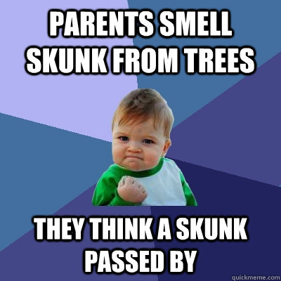 Parents smell skunk from trees They think a skunk passed by  Success Kid