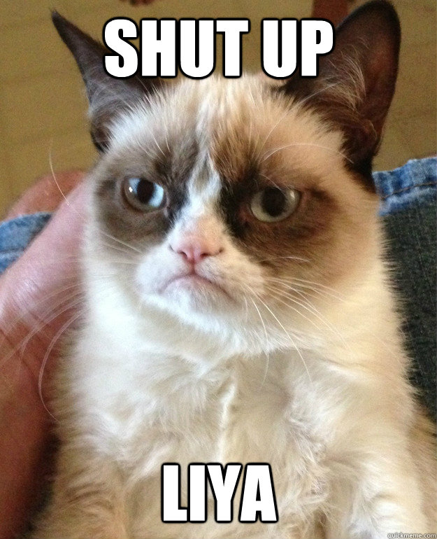 Shut up LIya  Angry Cat