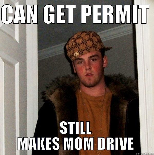 CAN GET PERMIT  STILL MAKES MOM DRIVE Scumbag Steve