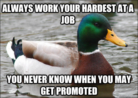 Always work your hardest at a job You never know when you may get promoted  Actual Advice Mallard