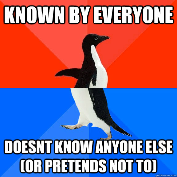 Known by everyone Doesnt know anyone else (or pretends not to)  Socially Awesome Awkward Penguin