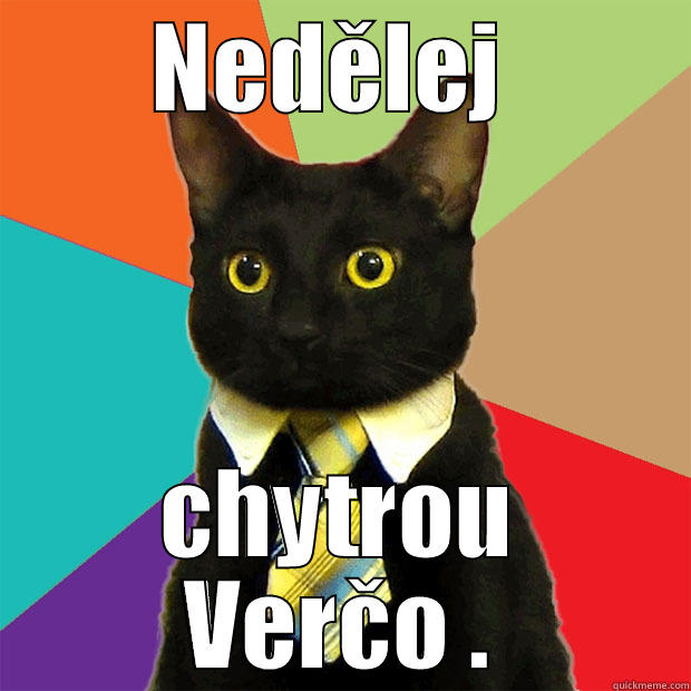 NEDĚLEJ  CHYTROU VERČO . Business Cat